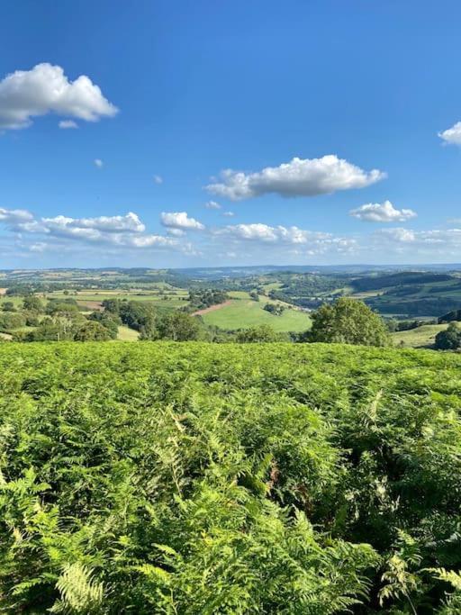 The Mill Stylish Rural Apartment With Beautiful Views Welsh Newton Common Εξωτερικό φωτογραφία